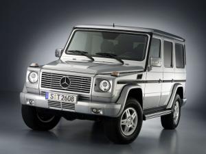 Mercedes-Benz G-Class 2007 года